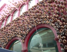 10 de junio de 2015 – Mercat de les Flors (Barcelona)